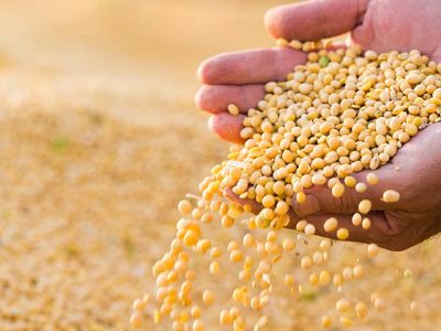 Tretamiento de semillas