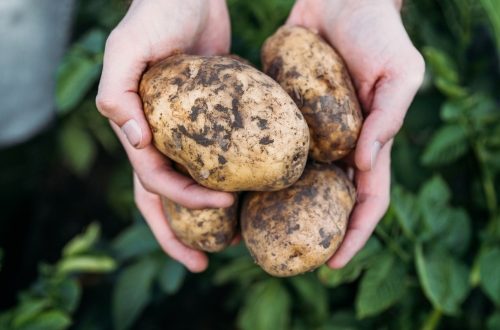 COPFORCE ® EXTRA – АГРИЯ АД