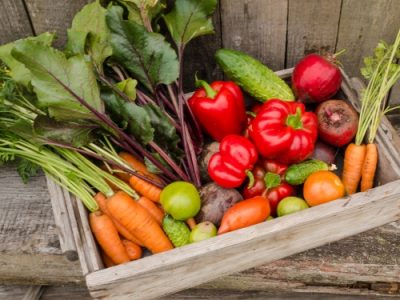 Cuprosate Gold 72 WP