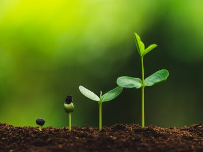 Biostimulants and foliar fertilizers