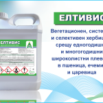 ЕЛТИВИС
