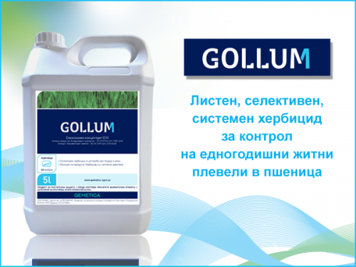 GOLUM_600 X 450px_11_2024