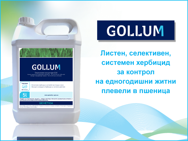 GOLUM_600 X 450px_11_2024